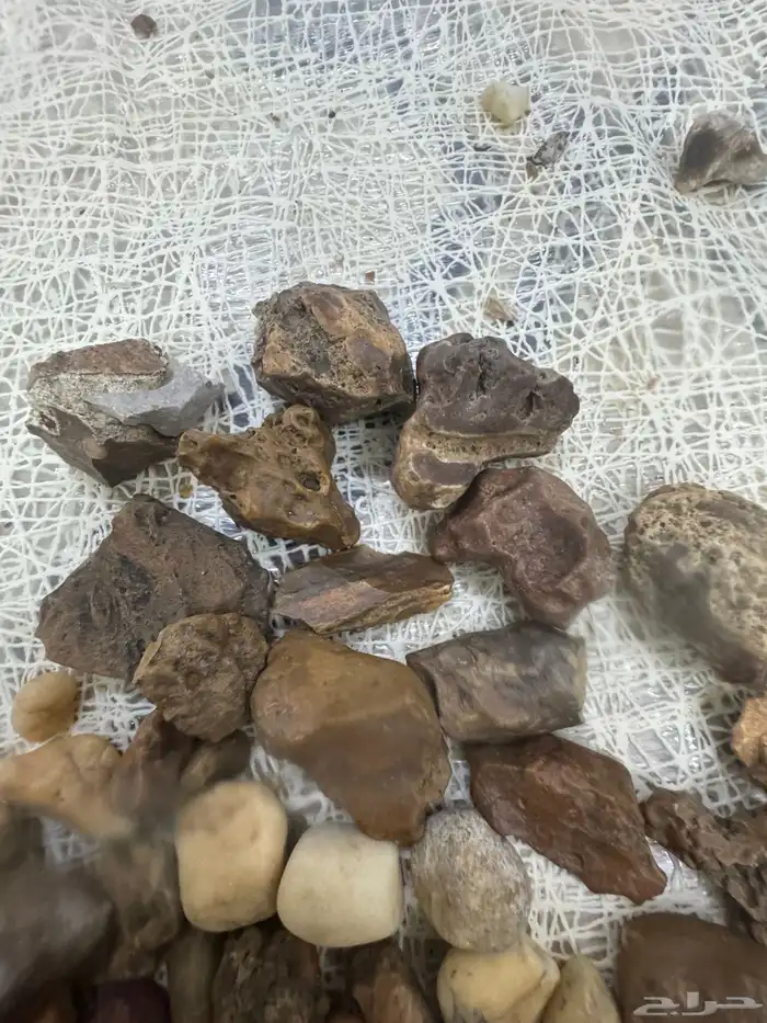 مجموعة احجار كريمه ونيازك وبركاني وكوارتز. وعقيق خام. 3