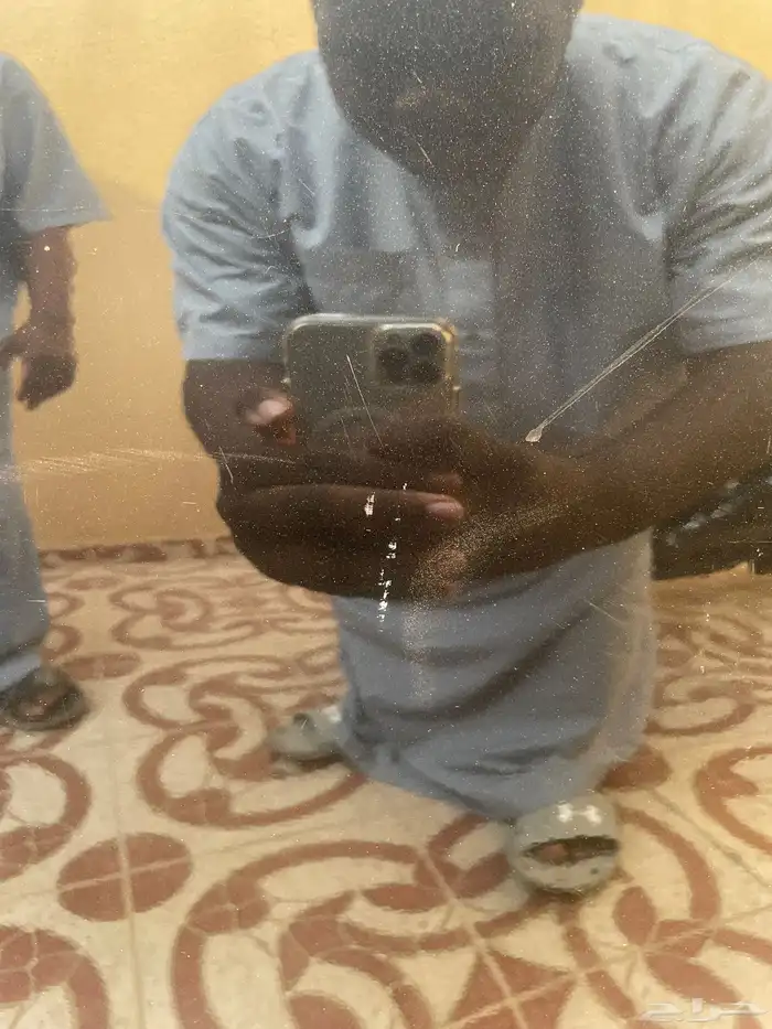 التيما 2016 6
