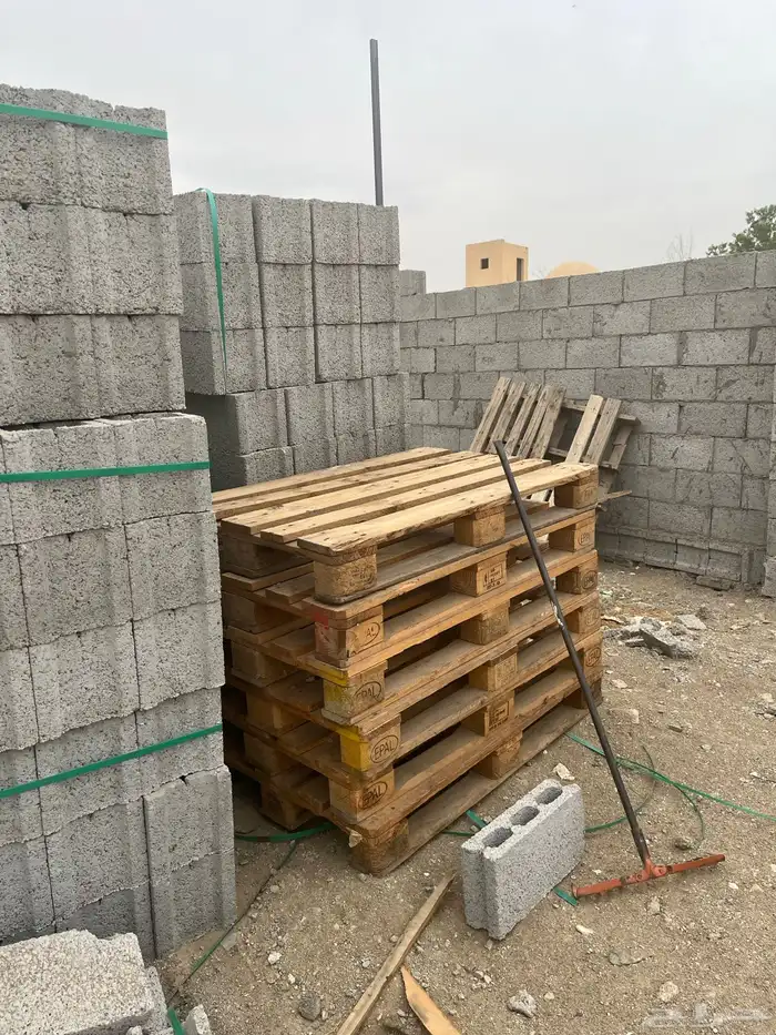 طبليات 15 حبه 0