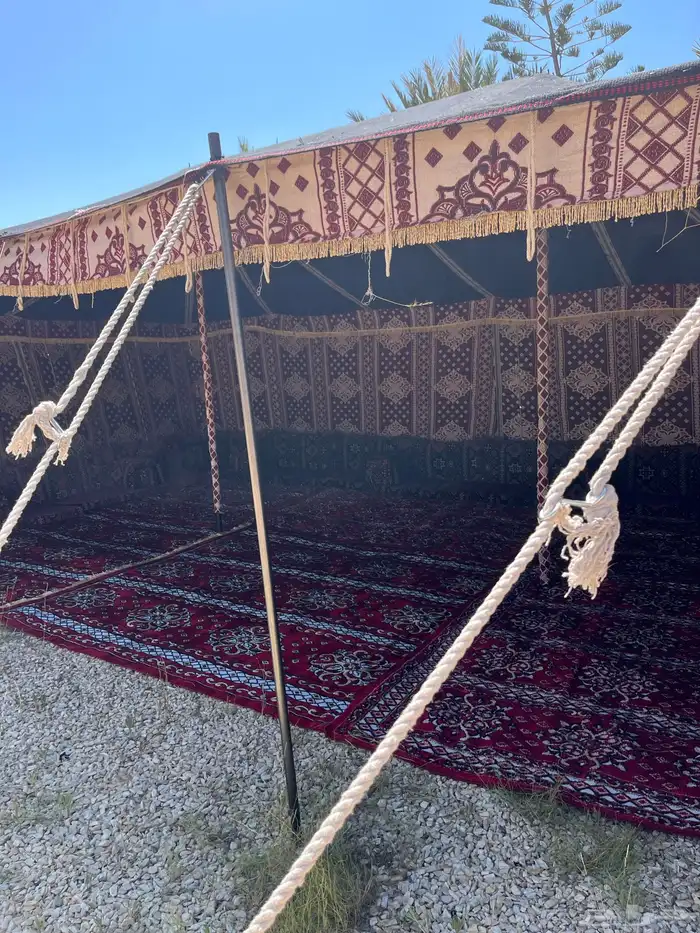 بيت شعر اسود بيت شعر ابيض خيام صيوان ضلال مجلس بيت شعر 22