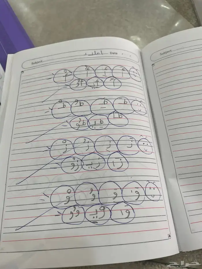 معلمه تاسيس وصفوف اولي 8