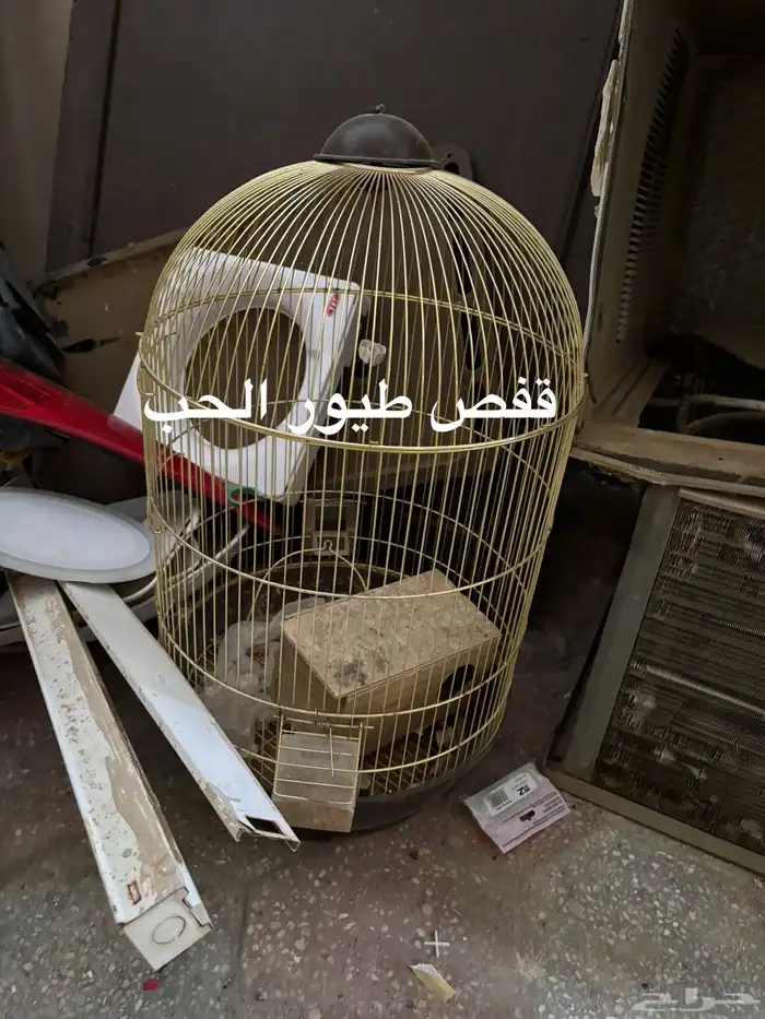 اثاث 4