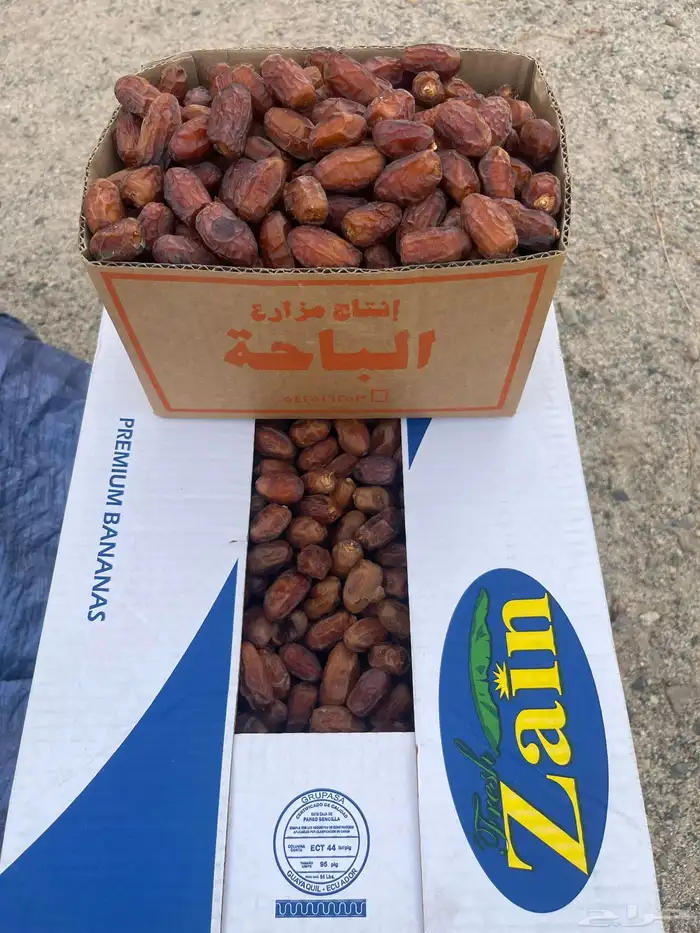 تمر حبه صغير قطع اليوم 4