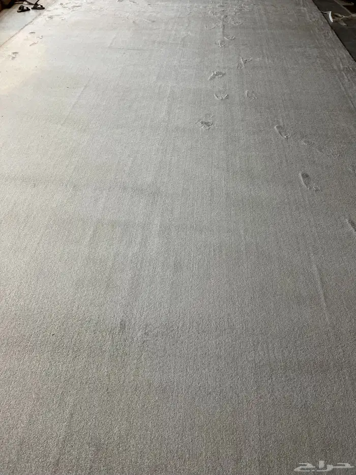 سجاد فرش مساجد موكيت مشمعات 9