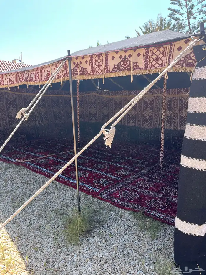 بيت شعر اسود بيت شعر ابيض خيام صيوان ضلال مجلس بيت شعر 20
