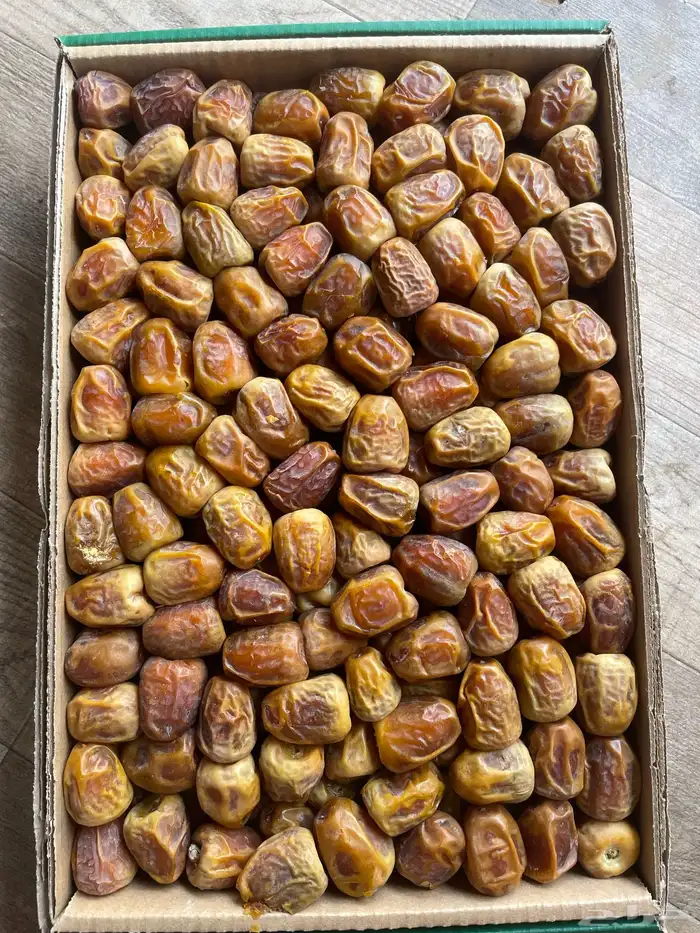 سكري جلكسي عضوي بدون كيماويات و سكري مفتل 2