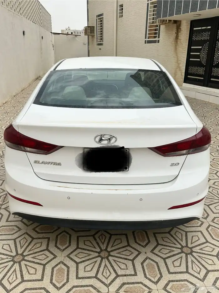 النترا 2018 3