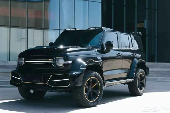 Modified Shadow Tank 300 China Edition 1