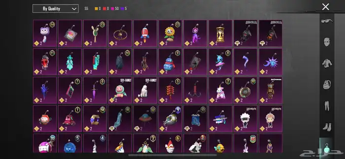 حساب ببجي للبيع 20