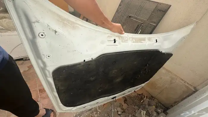 كبوت وشبك دوج 0