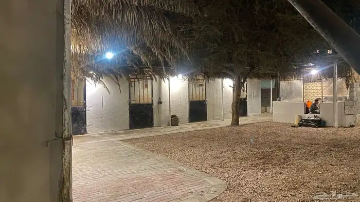 مربط خيل 4