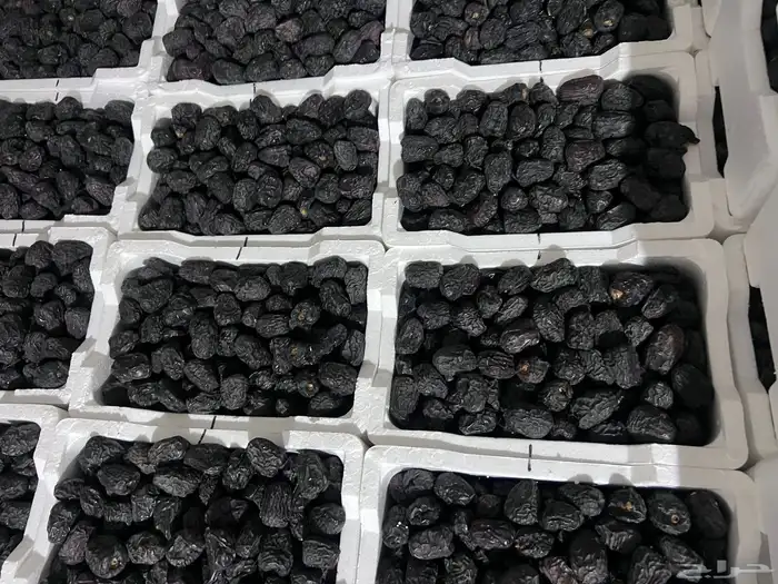 عجوا فاخره للبيع 2