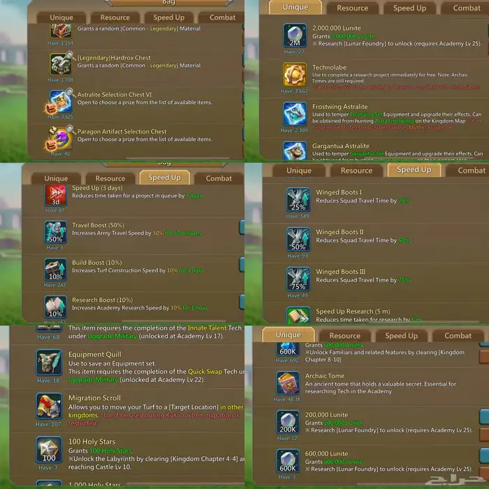 قائد حشد عجائب جبار فل تشامب لوردس موبايل(انباع) 5