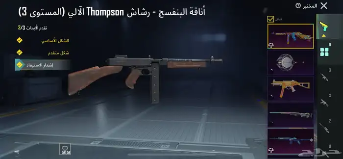حساب ببجي للبدل 17