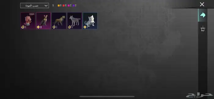 حساب ببجي 7