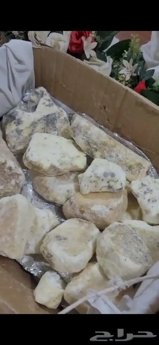 عنبر 1