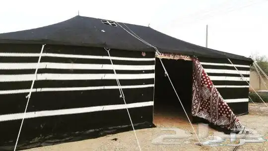 بيت شعر اسود بيت شعر ابيض خيام صيوان ضلال مجلس بيت شعر 11