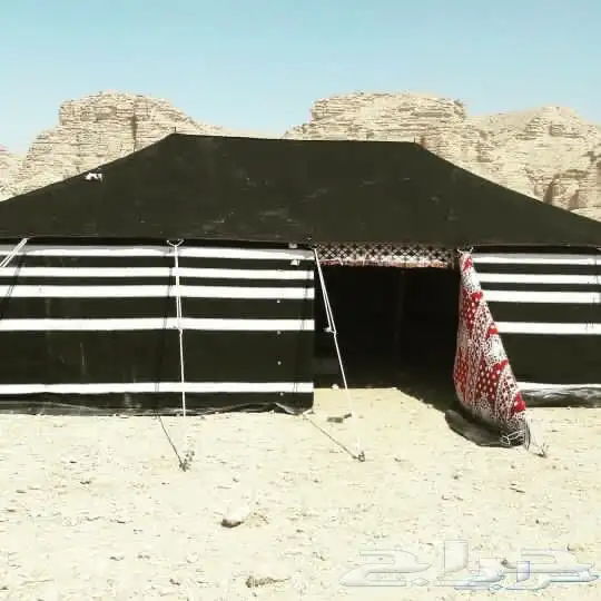 بيت شعر اسود بيت شعر ابيض خيام صيوان ضلال مجلس بيت شعر 12