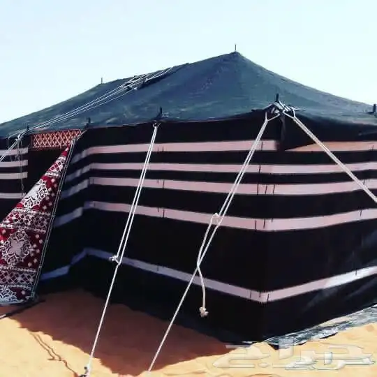 بيت شعر اسود بيت شعر ابيض خيام صيوان ضلال مجلس بيت شعر 8