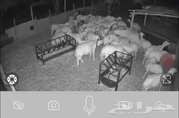 حلالك ومشاريعك وبيتك في امان باذن الله 2