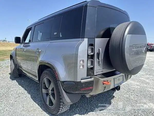 2021 DEFENDER X 110 3