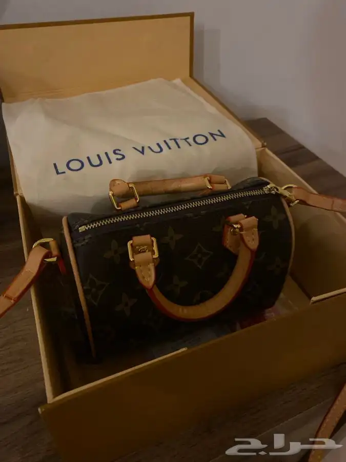 ميني Lv 0