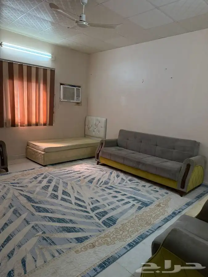 للإيجار 5