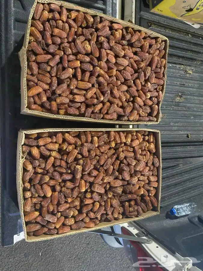 الخرمه 0