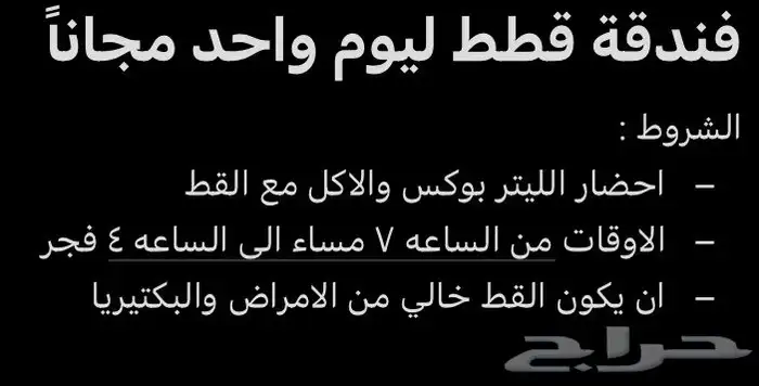 فندقة قطط الطايف مجانا ليوم واحد فقط 0
