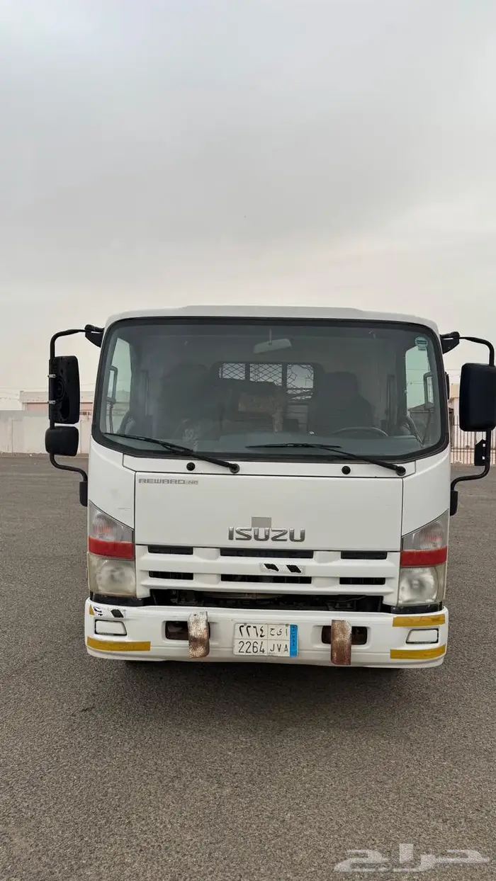 دينا ايسوزو 1