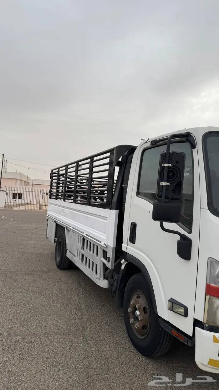 دينا ايسوزو 9