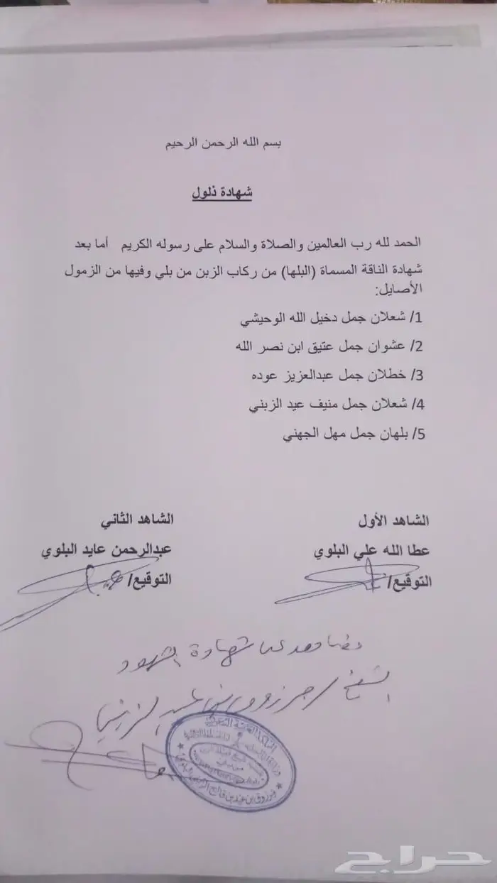 ناقه حره 1