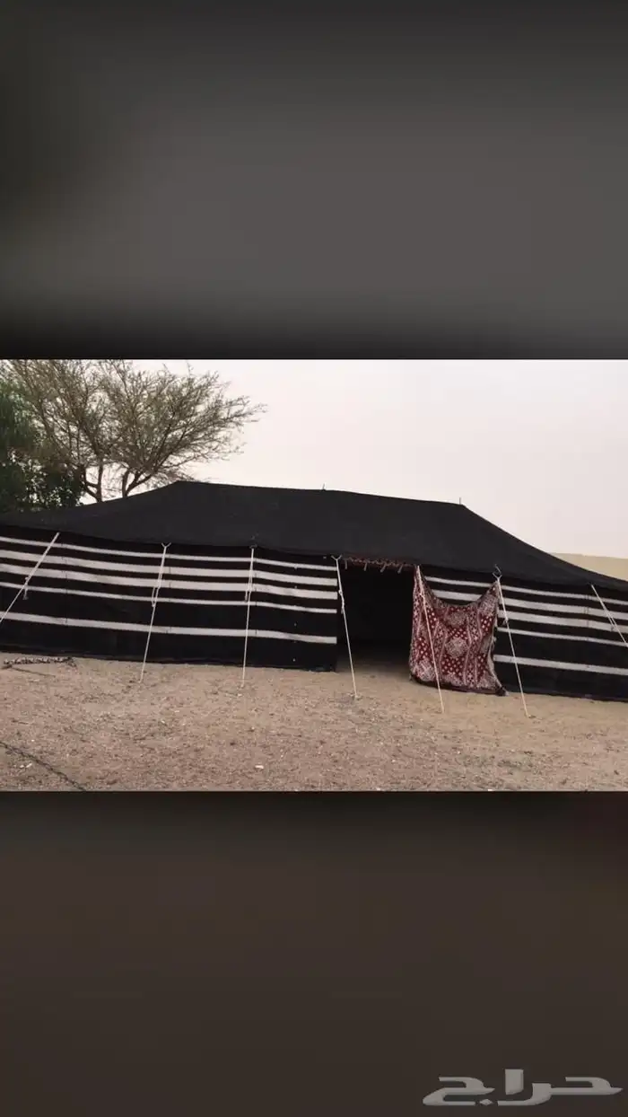 بيت شعر اسود بيت شعر ابيض خيام صيوان ضلال مجلس بيت شعر 3
