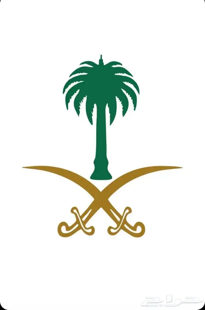 توصيل داخل الواديين 0
