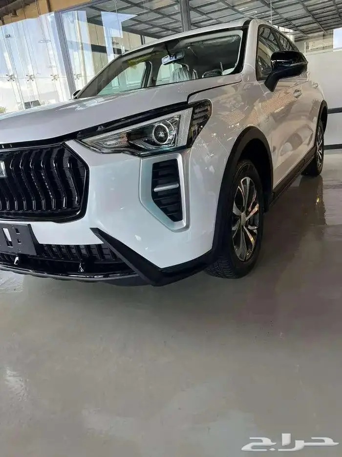 هافال جوليان بيسك 2025 2
