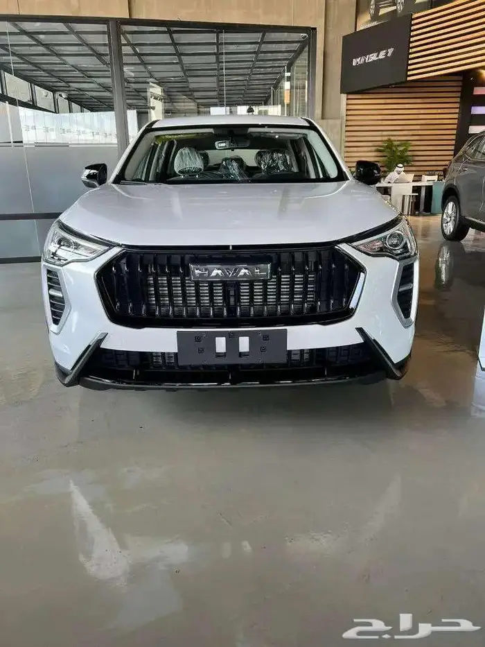 هافال جوليان بيسك 2025 0