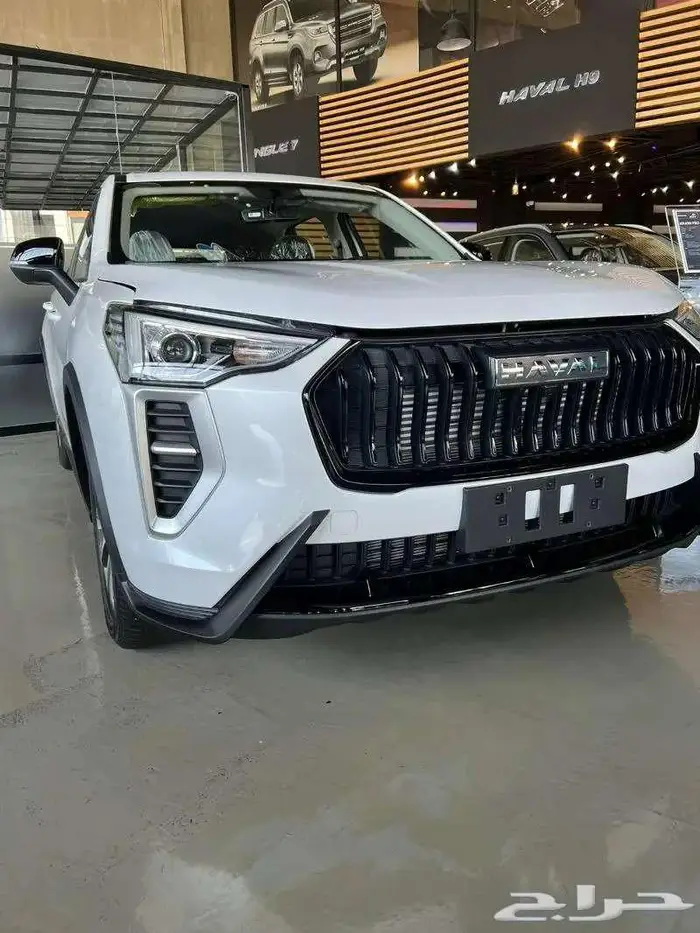 هافال جوليان بيسك 2025 1