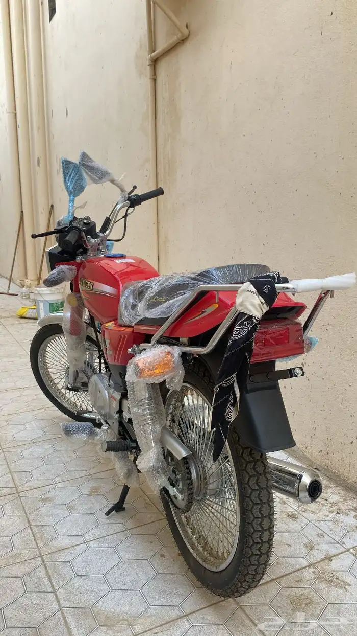 دباب بن ثابت ماله شهر نظيييف ولا يشكي من شي الصامل يكلمني 2