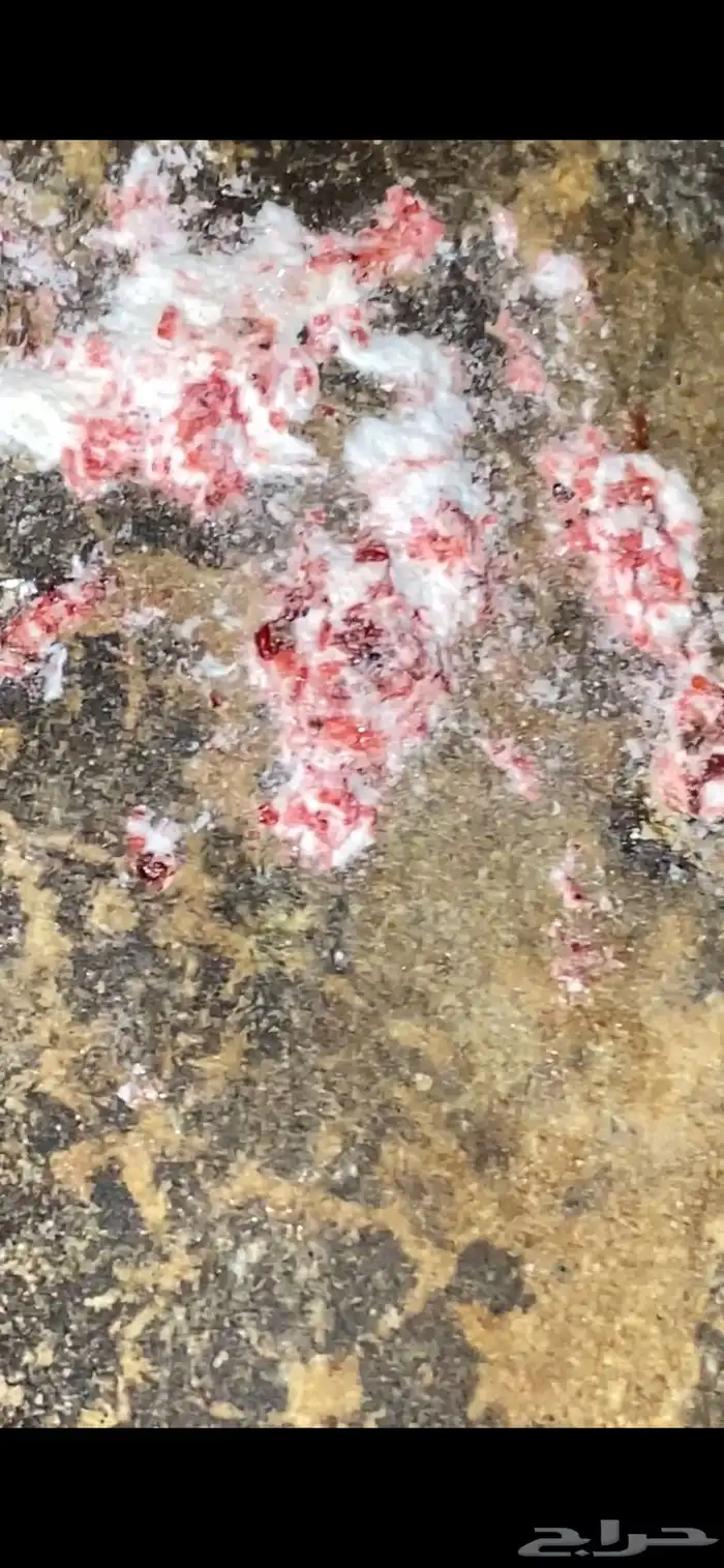 حجر الزئبق الاحمر 5