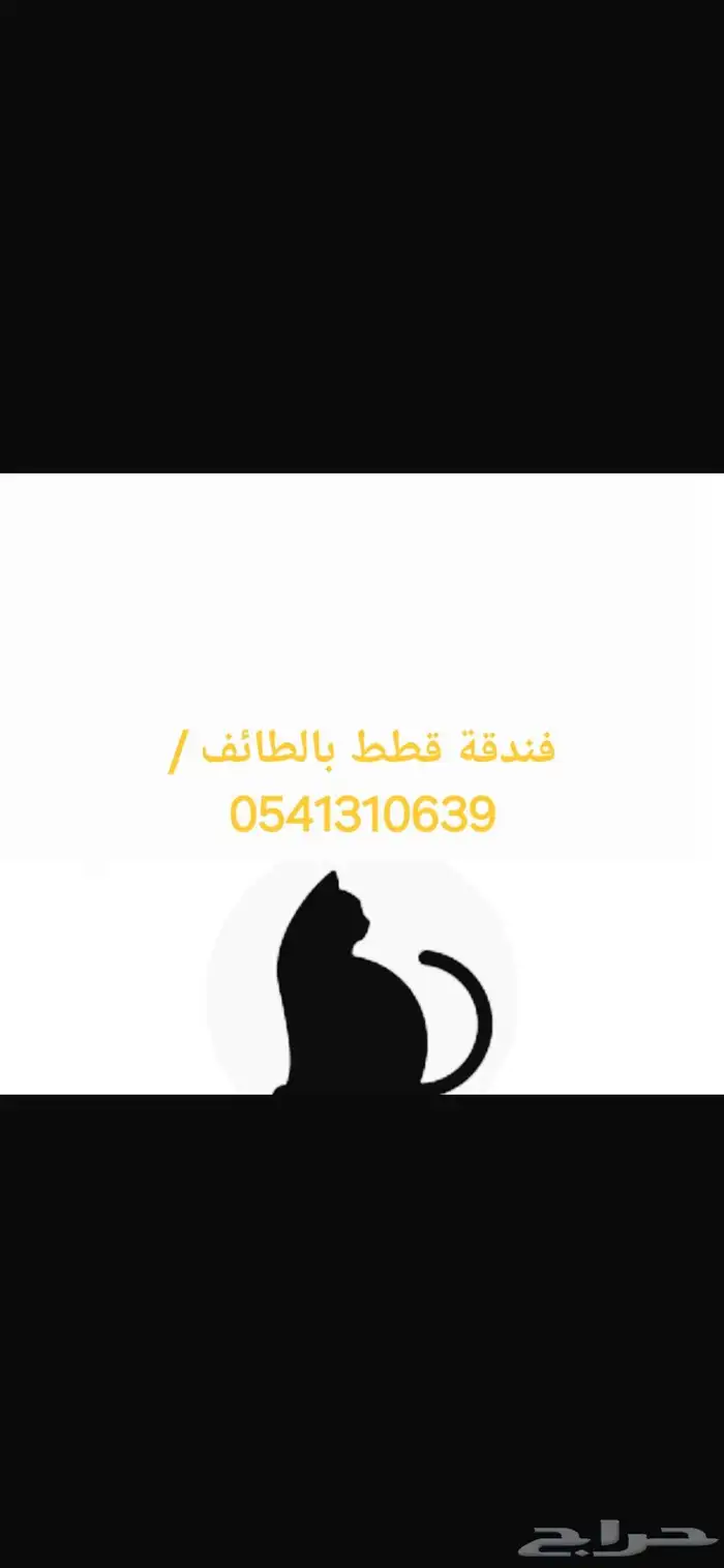 فندقة قطط بالطاىف 0
