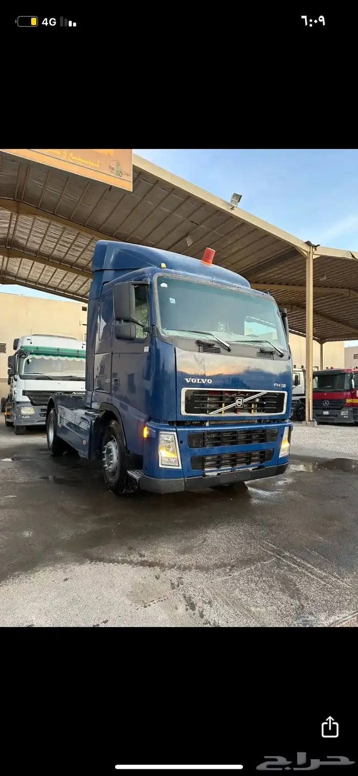 فلفو 2005 0