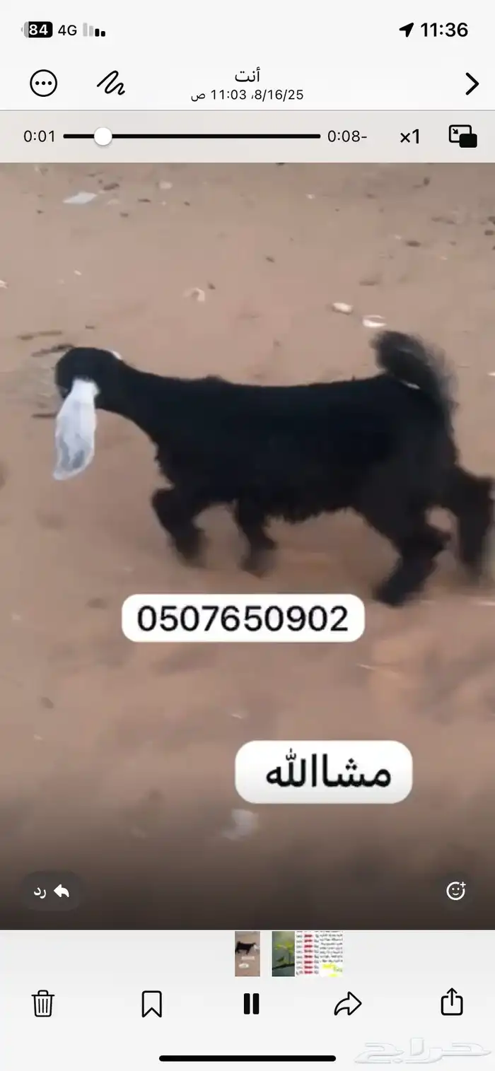 بيع 0