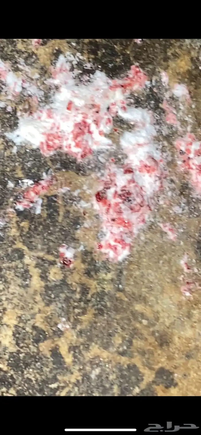 حجر الزئبق الاحمر 8