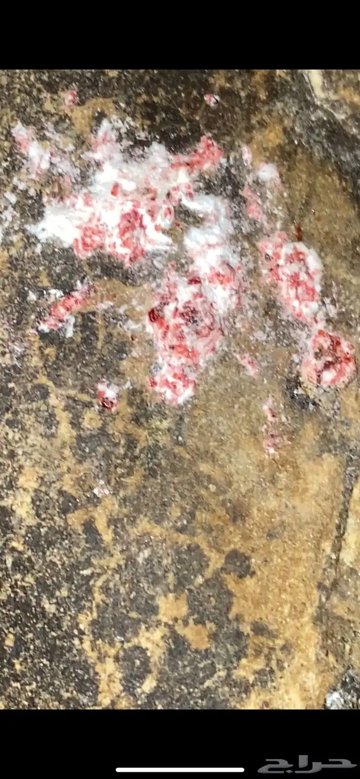 حجر الزئبق الاحمر 6