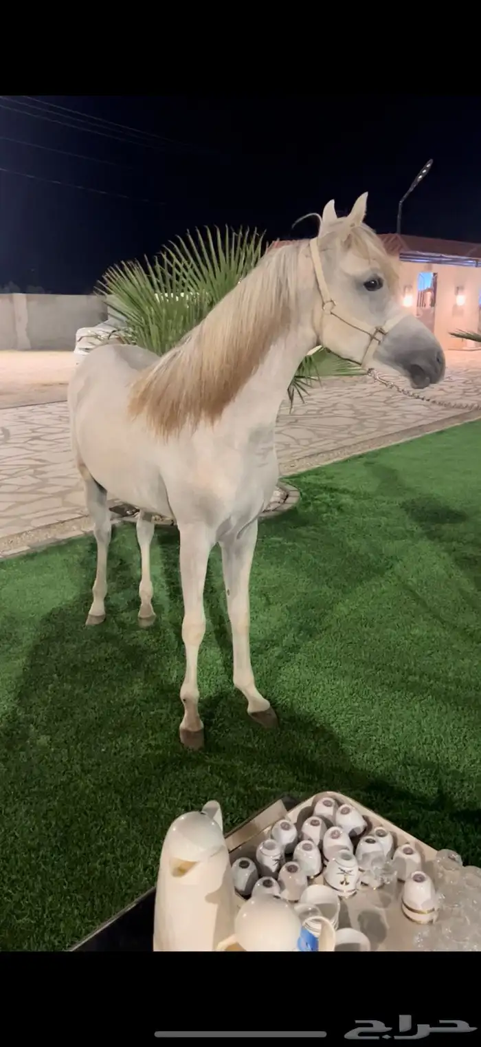مهره 0