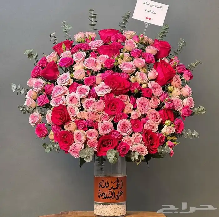 هدايا مق هاف مليون الجديد الأحمر 11