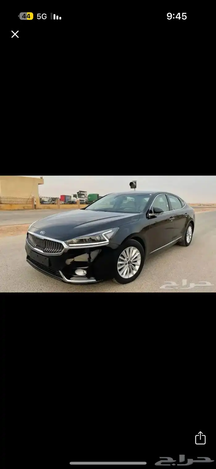 مطلوب كدنزا اسود 0