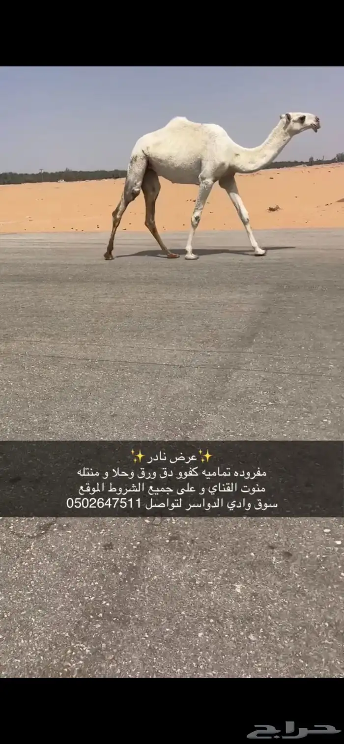 مفروده تماميه كفو جدا ساس و زين 6500من شايف و حايف 4