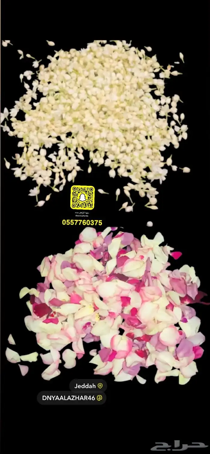 ورد رش منثور طبيعي بسعر إقتصادي 2