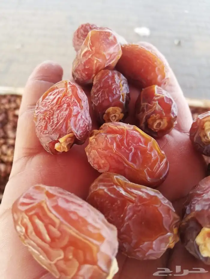 تمر خلاص وادي الدواسر جديد 1